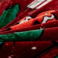 SHY 160 3 3548 szt 10_112086.jpg