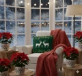 Poszewka 45x45 Holly Jolly 003 EAN 5904541933795_4.png